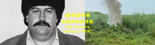 ПСИЛОЦИБИНОВЫЕ ГРИБЫ Костерёво