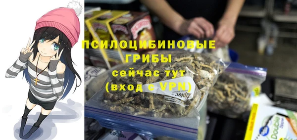 ПСИЛОЦИБИНОВЫЕ ГРИБЫ Костерёво