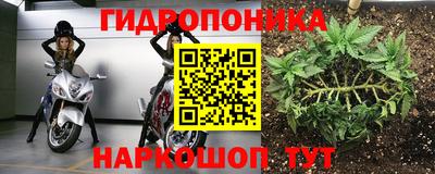 мескалин Гатчина