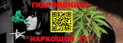 дмт Гагарин