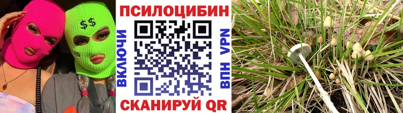 закладки  Новосибирск  ссылка на мегу онион  Галлюциногенные грибы мицелий 