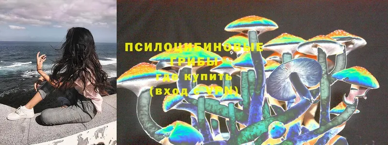 Галлюциногенные грибы Psilocybine cubensis  наркота  Новосибирск 