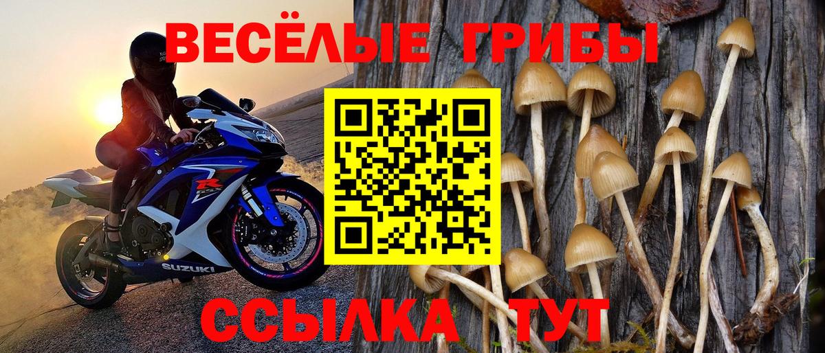 Галлюциногенные грибы Magic Shrooms Новосибирск