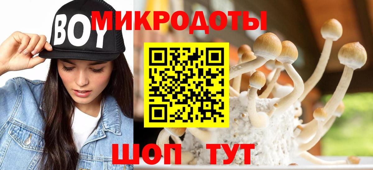 Псилоцибиновые грибы GOLDEN TEACHER  Псилоцибиновые грибы Cubensis  Вход с VPN  Новосибирск 